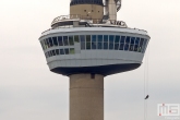 Abseilen vanaf de Euromast in Rotterdam