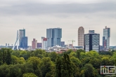 De skyline van Rotterdam met op de voorgrond Het Park