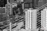 De Leuvehaven in Rotterdam door de tuien van de Erasmusbrug