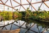 De vlindertuin in Diergaarde Blijdorp in Rotterdam