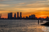 De zonsopkomst in Rotterdam met De Maas en de Erasmusbrug