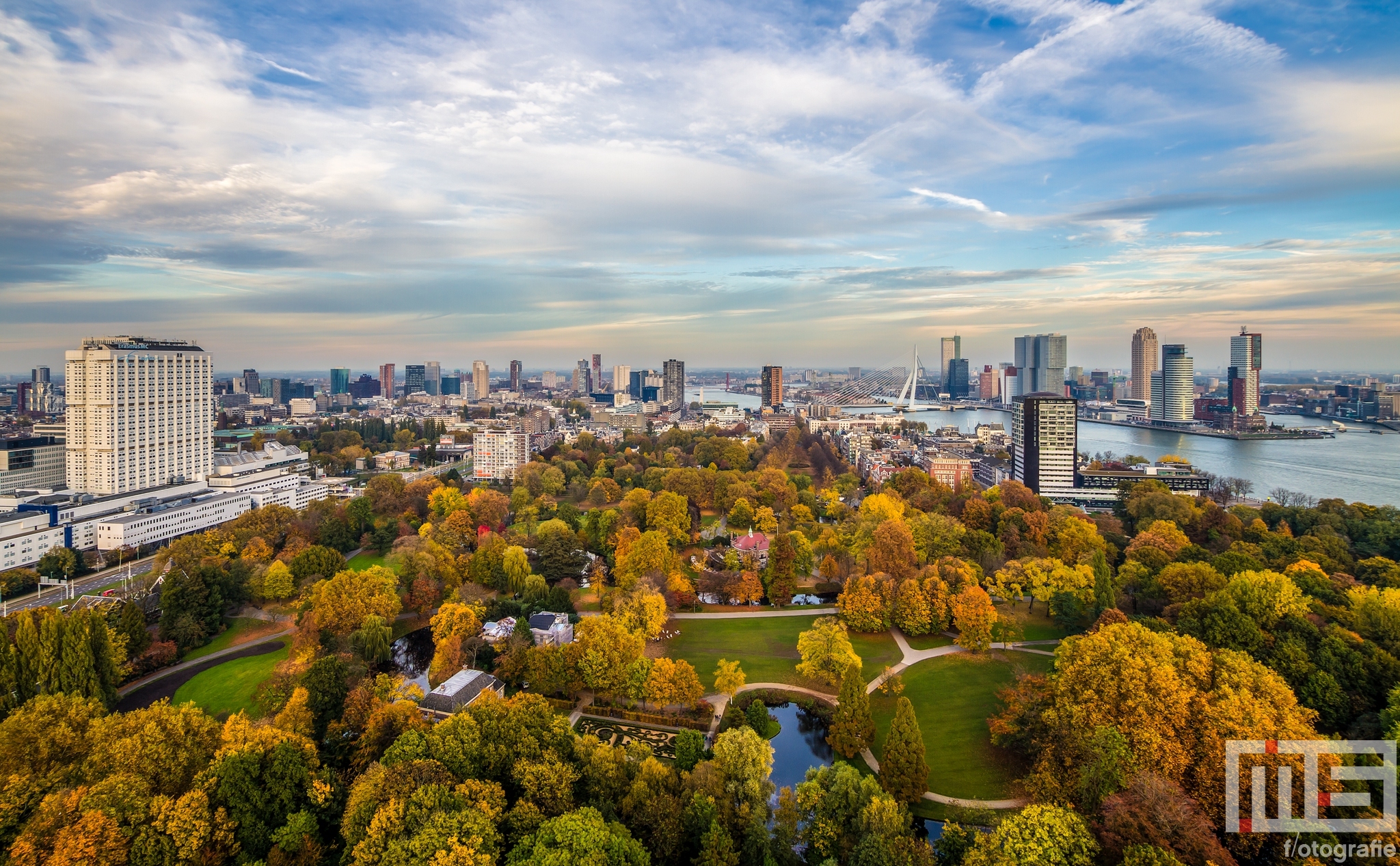 Te Koop | Het Euromastpark in Rotterdam in herfstkleuren