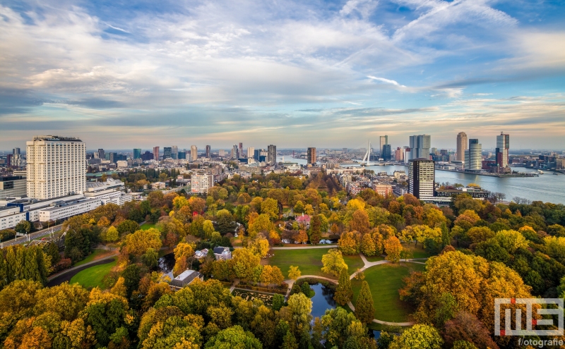 Te Koop | Het Euromastpark in Rotterdam in herfstkleuren