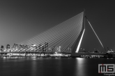 De Erasmusbrug in Rotterdam by Night