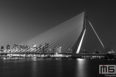 De Erasmusbrug in Rotterdam by Night