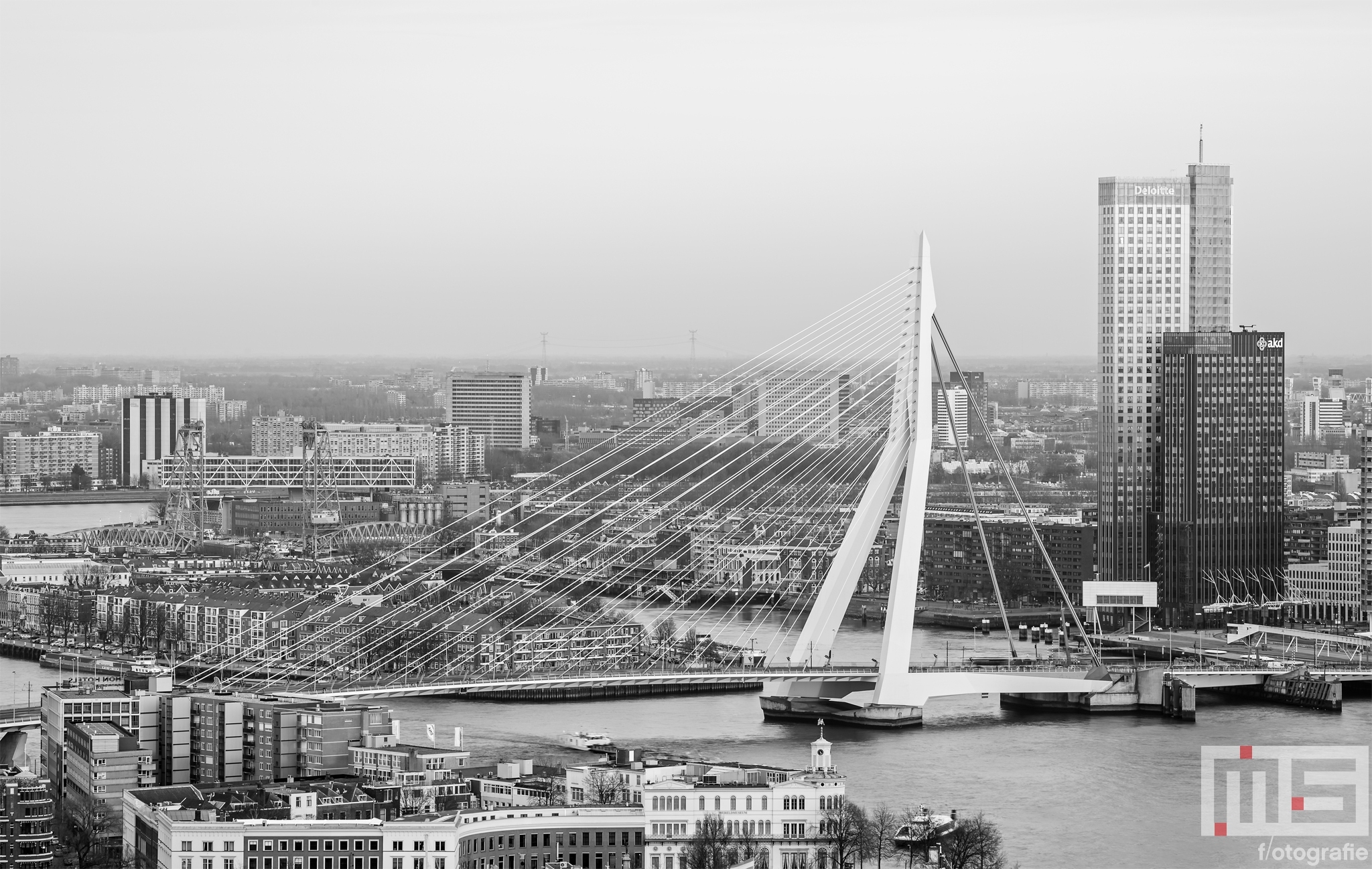 Te Koop | De Erasmusbrug in Rotterdam met de Maastoren