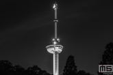 De Euromast met de Euromastpark in Rotterdam by Night