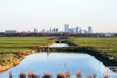 De skyline van Rotterdam vanuit de Ackerdijkse Plassen