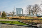 Te Koop | Het Park bij de Erasmusbrug in Rotterdam in herfstkleuren