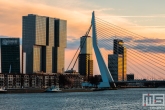 Te Koop | De zonsondergang in Rotterdam met de Erasmusbrug en De Rotterdam