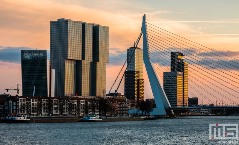 Te Koop | De zonsondergang in Rotterdam met de Erasmusbrug en De Rotterdam