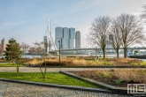 Te Koop | Het Park bij de Erasmusbrug in Rotterdam in herfstkleuren