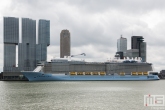 Het cruiseschip Ovation of the Seas aan de Cruise Terminal in Rotterdam