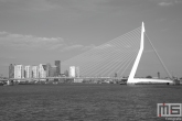 Te Koop | De Erasmusbrug in Rotterdam by Day in zwart/wit