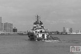 De sleepboot Fairplay 33 op de Maas in Rotterdam