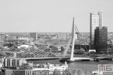 Te Koop | De Erasmusbrug en Maastoren in Rotterdam by Day in zwart/wit