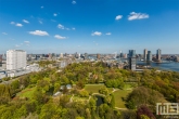 Te Koop | Het Park in Rotterdam by Day met Hollandse wolken