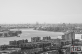 Het uitzicht op de havenstad Rotterdam in zwart/wit