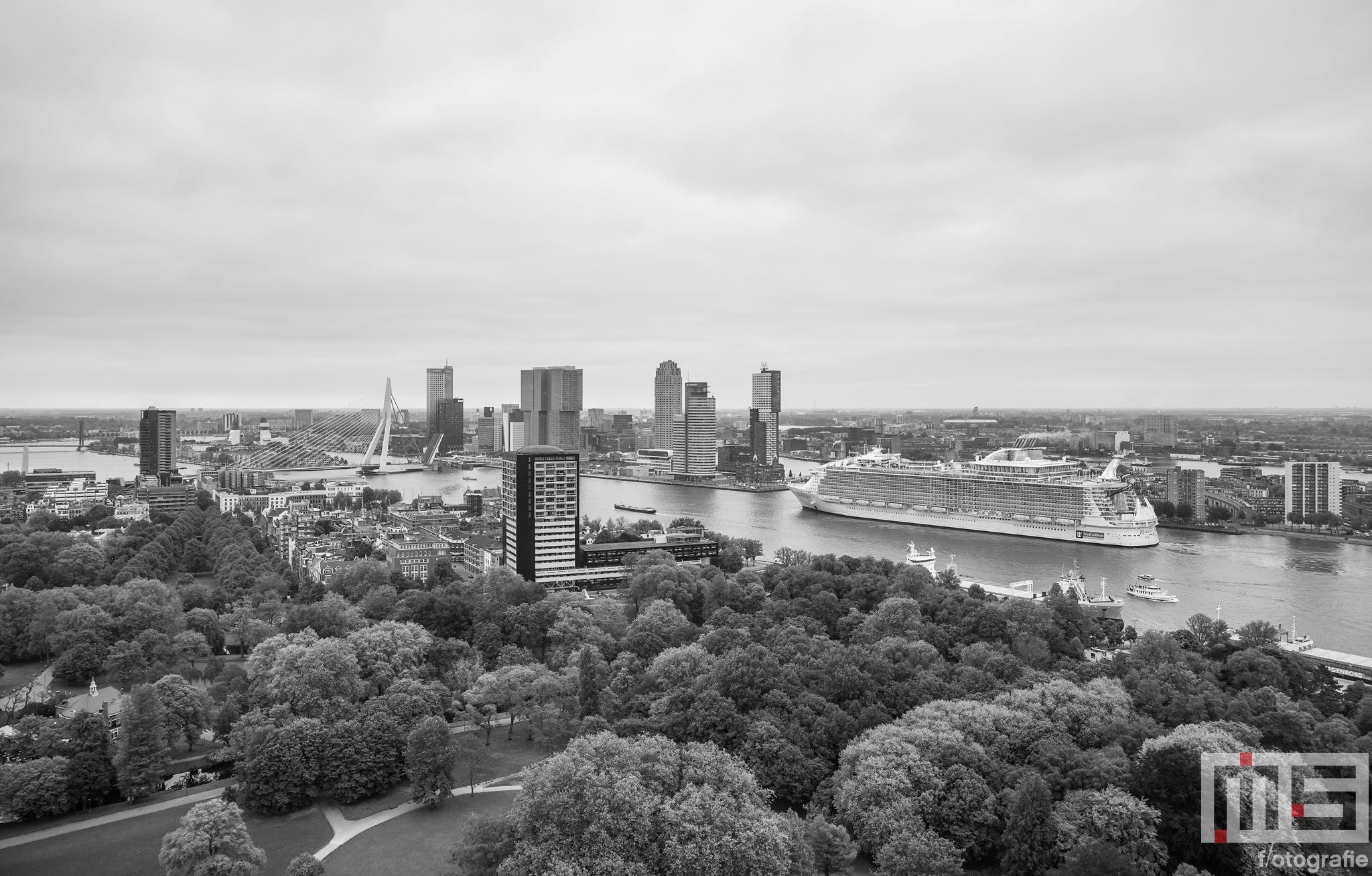 Te Koop | Het cruiseschip Harmony of the Seas gaat richting de Cruise Terminal in Rotterdam in zwart/wit