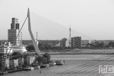 Te Koop | Het cruiseschip Ms Rotterdam met de Erasmusbrug in Rotterdam
