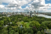 Te Koop | Het Park in Rotterdam met Rotterdamse wolken