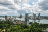 Te Koop | Het Park in Rotterdam met Rotterdamse wolken