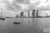 Het cruiseschip Pride of Rotterdam tijdens de Wereldhavendagen in Rotterdam