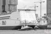 Het cruiseschip Pride of Rotterdam tijdens de Wereldhavendagen in Rotterdam