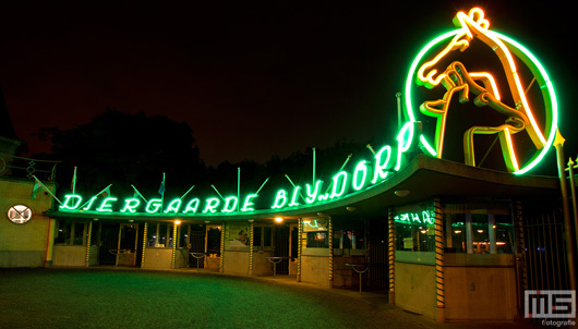 Het neonlicht van de Diergaarde Blijdorp in Rotterdam | Cover Small