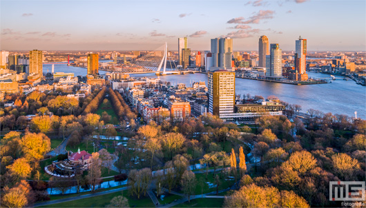 De gouden zonsondergang in Het Park in Rotterdam | Cover