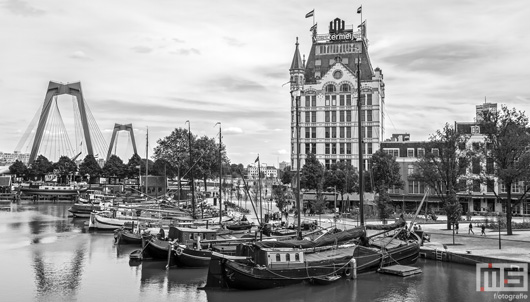 De Willemsbrug en het Witte Huis in de Oudehaven in Rotterdam | Cover Small