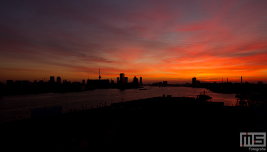 De zonsopkomst in de Waalhaven in Rotterdam met de Euromast | Cover Small