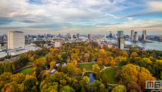 Het Euromastpark in Rotterdam in herfstkleuren | Cover Small