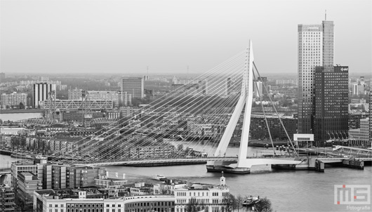 De Erasmusbrug en de Maastoren in Rotterdam by Day | Cover Small