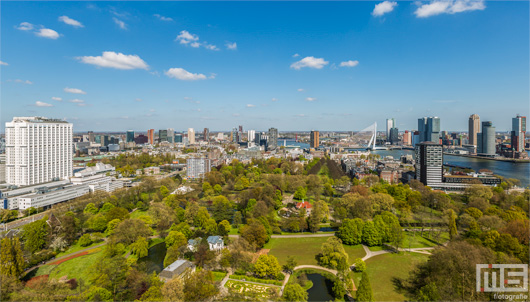 Het stadspark in Rotterdam by Day | Cover Small