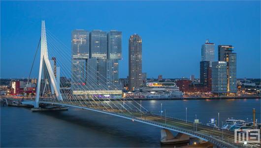 De Erasmusbrug in Rotterdam tijdens blue-hour | Cover Small