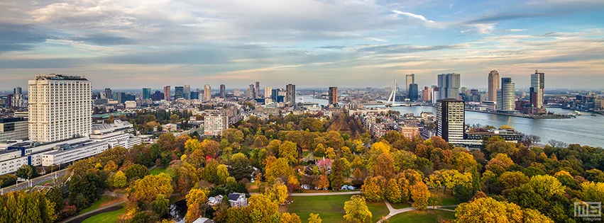 MS Fotografie Downloads Rotterdam Skyline