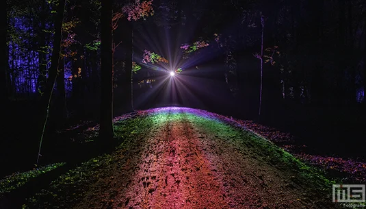 De Grote Schijn 2025 – Magie in het Kralingse Bos | Cover Small