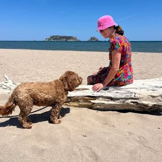 Jolenta van der Sijde