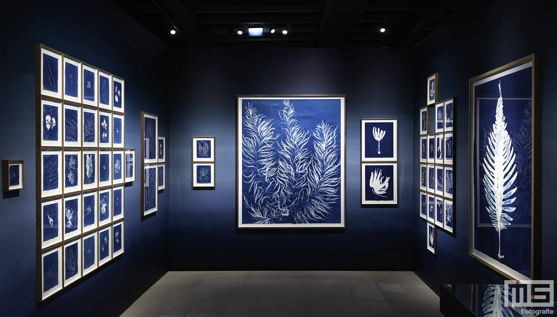 Nederlands Fotomuseum heropent in verbouwd Santos-pakhuis | Cover